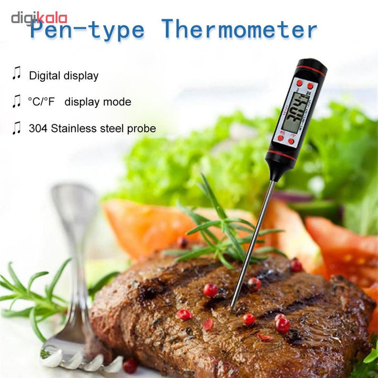 دماسنج مدل TP101 کد 3000