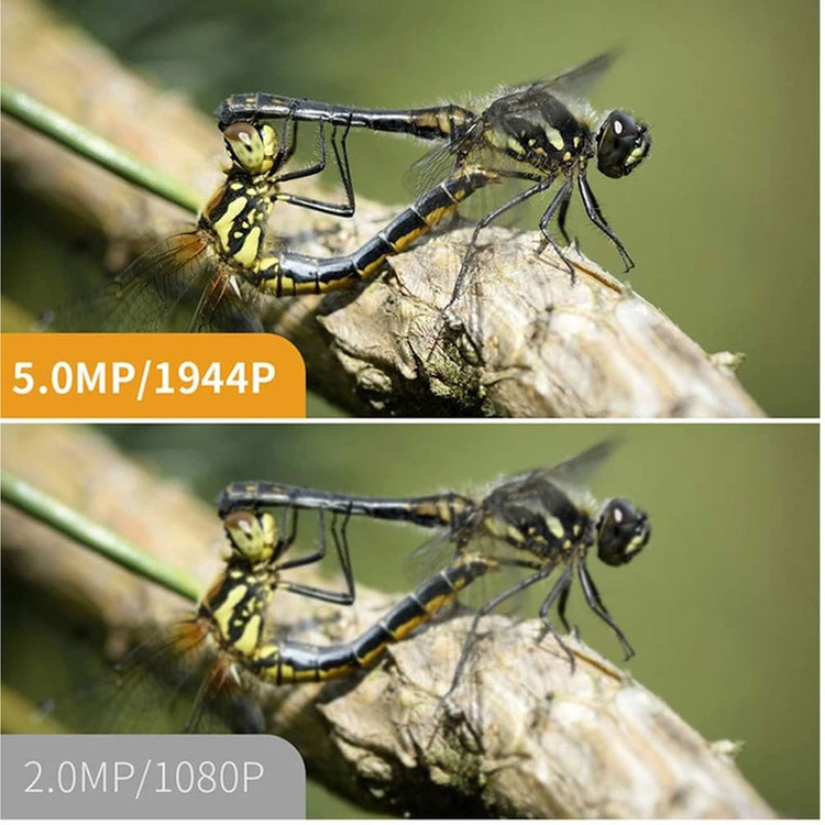 دوربین شلنگی مدل اتوفوکوس منعطف فلزی 10M 5MP 360