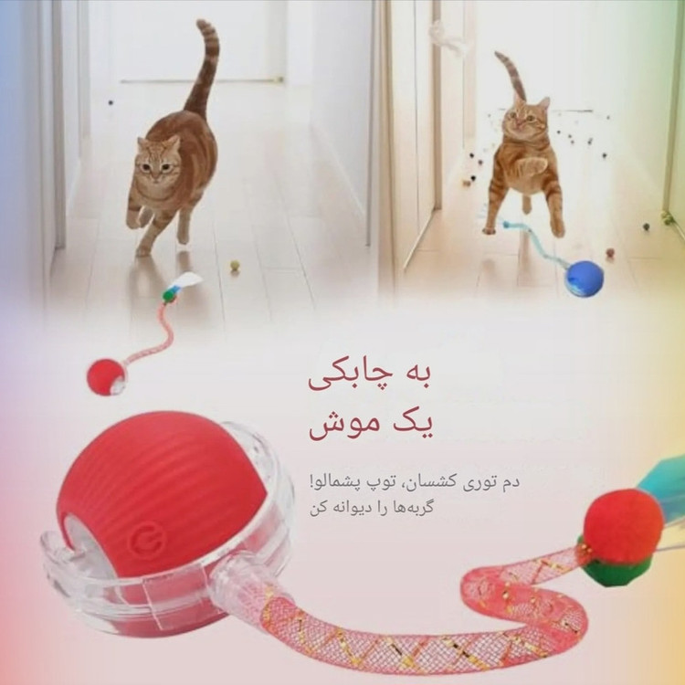 توپ هوشمند بازی گربه و سگ مدل دم فنری با سه حالت حرکت تعاملی، شارژ سریع 30 دقیقهای و جنس مقاوم و ایمن برای تقویت فعالیت بدنی و ذهنی حیوانات خانگی