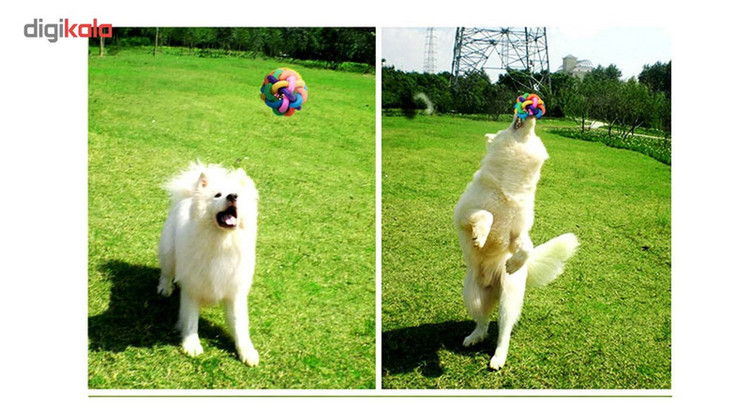 توپ اسباب بازی سگ تو در تو مدل Juguetes Perro Ball-S با زنگوله داخلی، جنس لاستیک قابل انعطاف با قطر 5.5 سانتیمتر ، مقاوم و سرگرمکننده، مناسب تقویت سلامت و بازی سگها