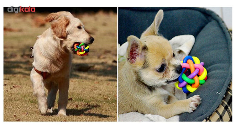 اسباب بازی سگ توپ پیچ در پیچ مدل Juguetes Perro Ball-L قطر 8.5 سانتی متری