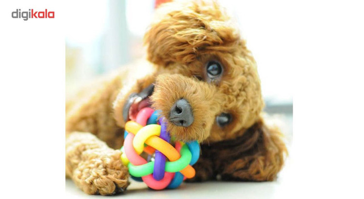 اسباب بازی سگ توپ پیچ در پیچ مدل Juguetes Perro Ball-L قطر 8.5 سانتی متری