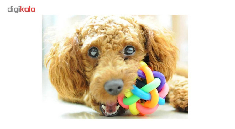 اسباب بازی سگ توپ پیچ در پیچ مدل Juguetes Perro Ball-L قطر 8.5 سانتی متری