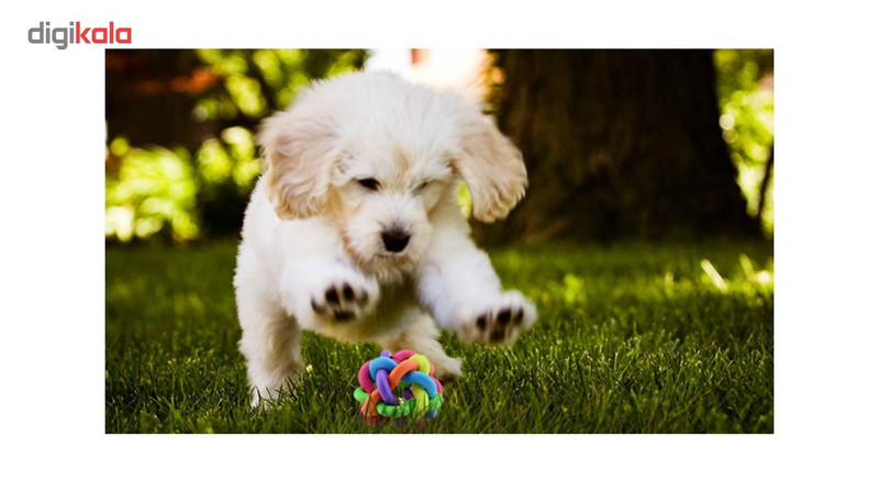اسباب بازی سگ توپ پیچ در پیچ مدل Juguetes Perro Ball-L قطر 8.5 سانتی متری