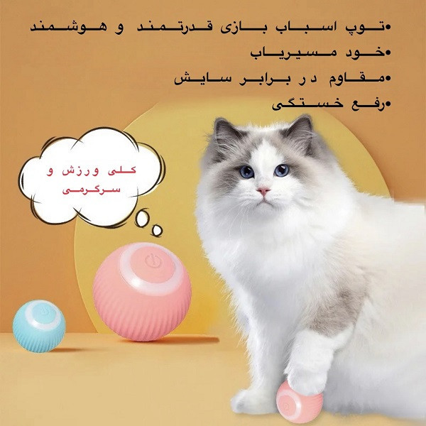 اسباب بازی سگ و گربه مدل توپ اتوماتیک