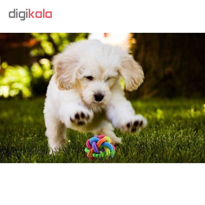 اسباب بازی توپ سگ مدل Perro Ball-L قطر 8.5 سانتی متری