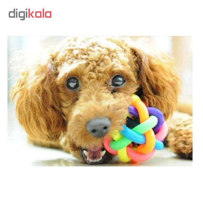 اسباب بازی توپ سگ مدل Perro Ball-L قطر 8.5 سانتی متری