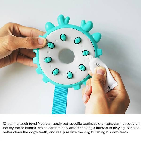 اسباب بازی سگ مدل دندانی Energy Ring
