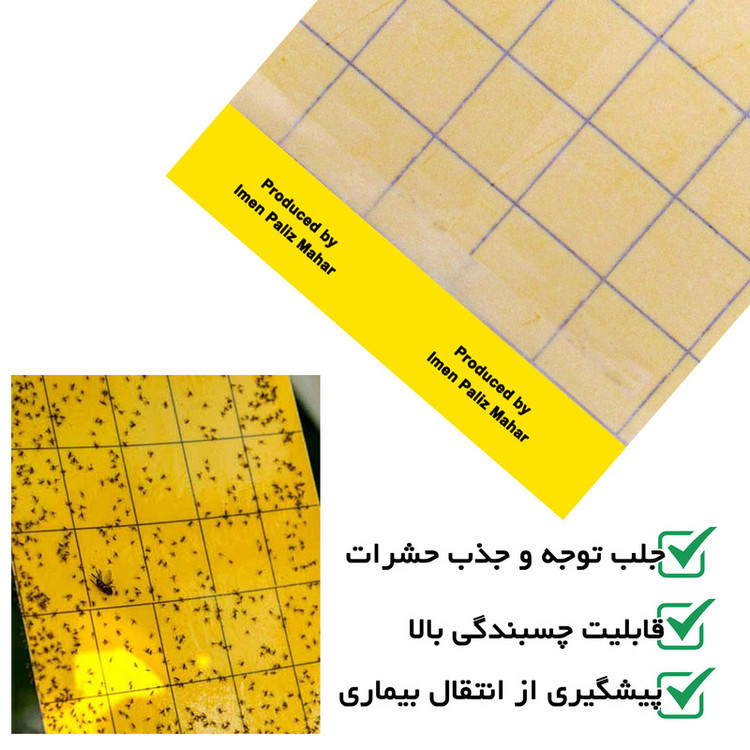 چسب حشره کش ایمن پالیز مهار مدل Dengi بسته 5 عددی