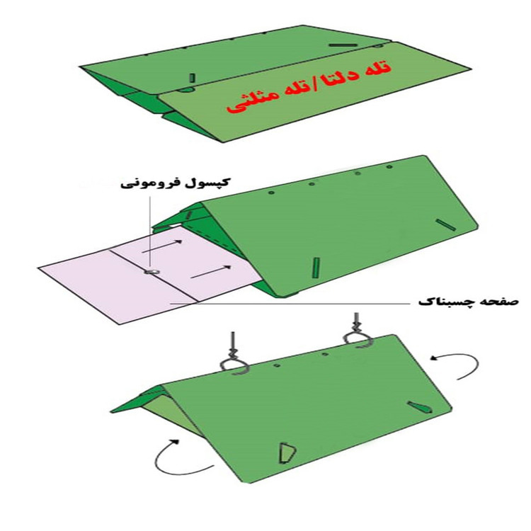 تله حشره گیر مدل دلتا همراه با چسب