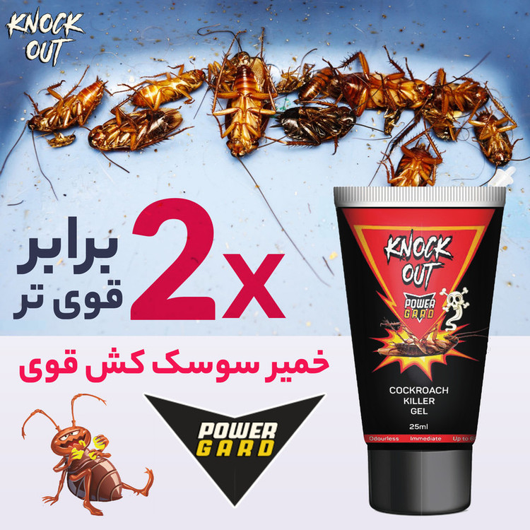 خمیر سوسک کش ناک اوت مدل 2X وزن 25 گرم
