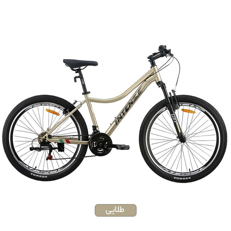 دوچرخه کوهستان اینتنز مدل cv100 کد 2400 سایز طوقه 29 اینچ